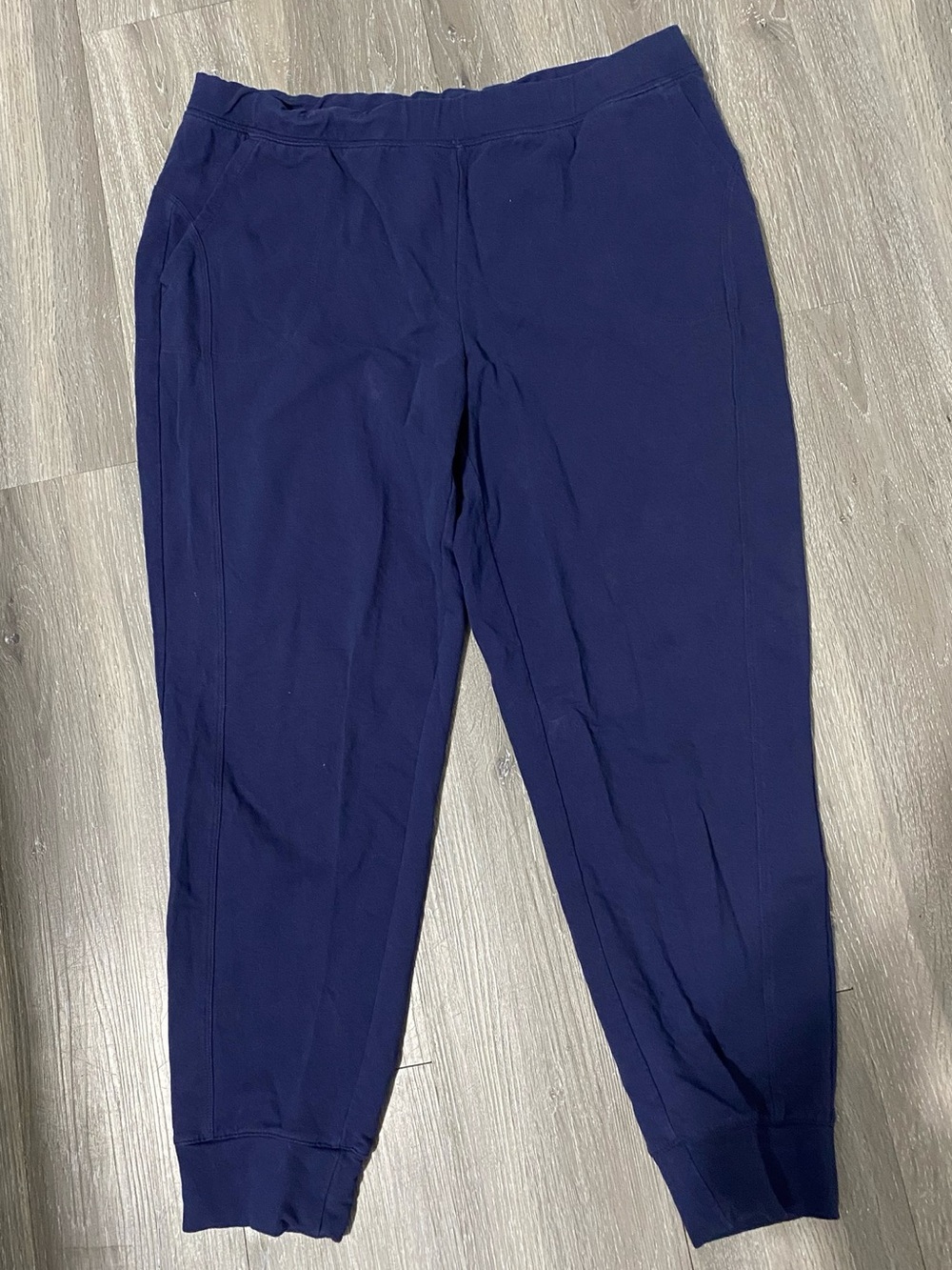 D&Co Active Women's Blue Jogger Pants - Sleek Everyday Comfort size L
